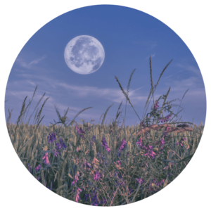 Moon Magic and the Menstrual Cycle - Meghan Norean